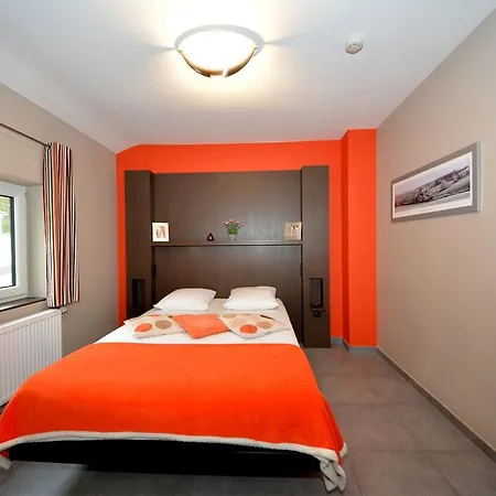 Modern Holiday In Bellevaux-ligneuville With Sauna