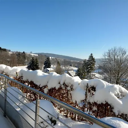 Modern Holiday In Bellevaux-ligneuville With Sauna